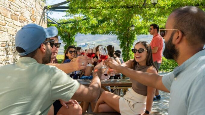DOURO VALLEY W/ 2 Boutique Wineries, Lunch and 1h Boat Tour - Scenic Route Through N323 and N222