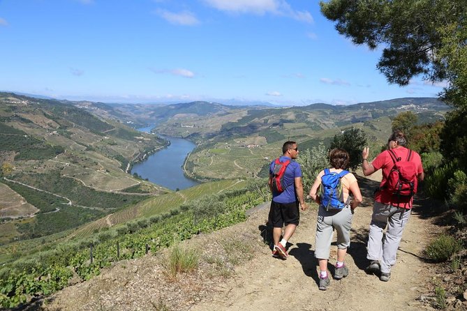 Douro Valley Walking Tour - Quick Points