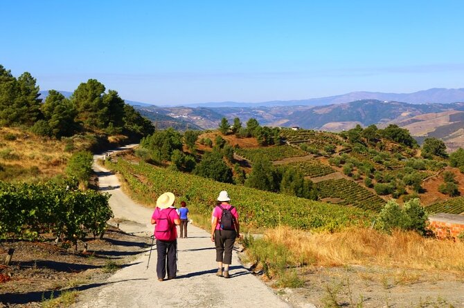 Douro Valley Walking Tour - Highlights of the Douro Valley