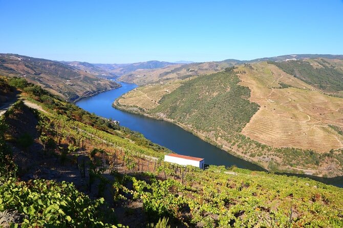 Douro Valley Walking Tour - What to Expect on the Tour