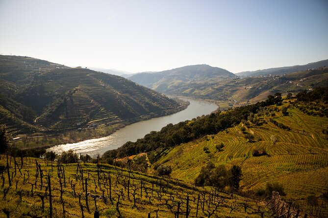 Douro Valley Wine Diversity Full Day Private Tour - About Your Stay