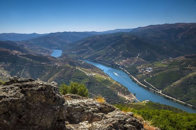 DOURO VALLEY: Wine Premium Tour, Winerys Lunch & River Cruise - Key Points
