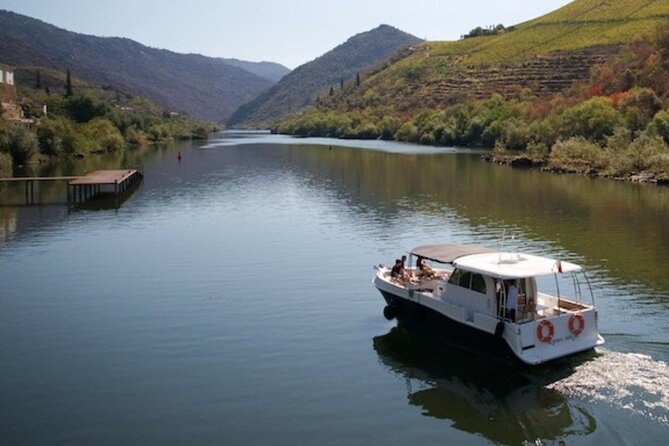 DOURO VALLEY: Wine Premium Tour, Winerys Lunch & River Cruise - Meeting Point and Pickup