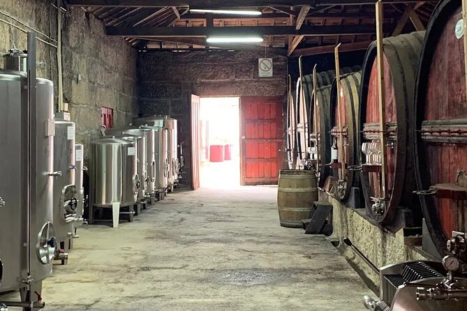 DOURO VALLEY: Wine Premium Tour, Winerys Lunch & River Cruise - Winery Visit and Tastings