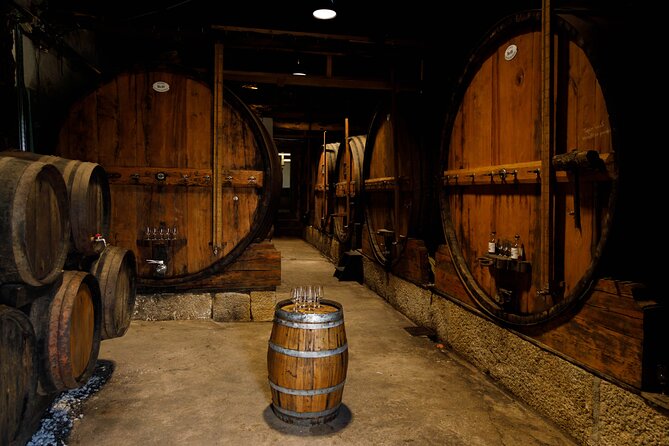 DOURO VALLEY: Wine Premium Tour, Winerys Lunch & River Cruise - Lunch at Family Farm