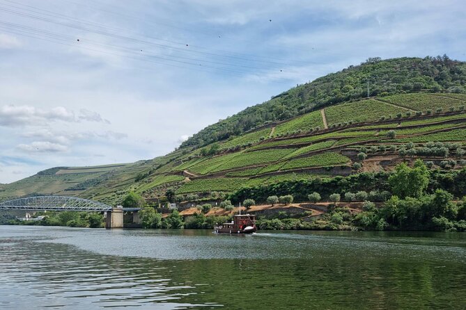 DOURO VALLEY: Wine Premium Tour, Winerys Lunch & River Cruise - Important Details