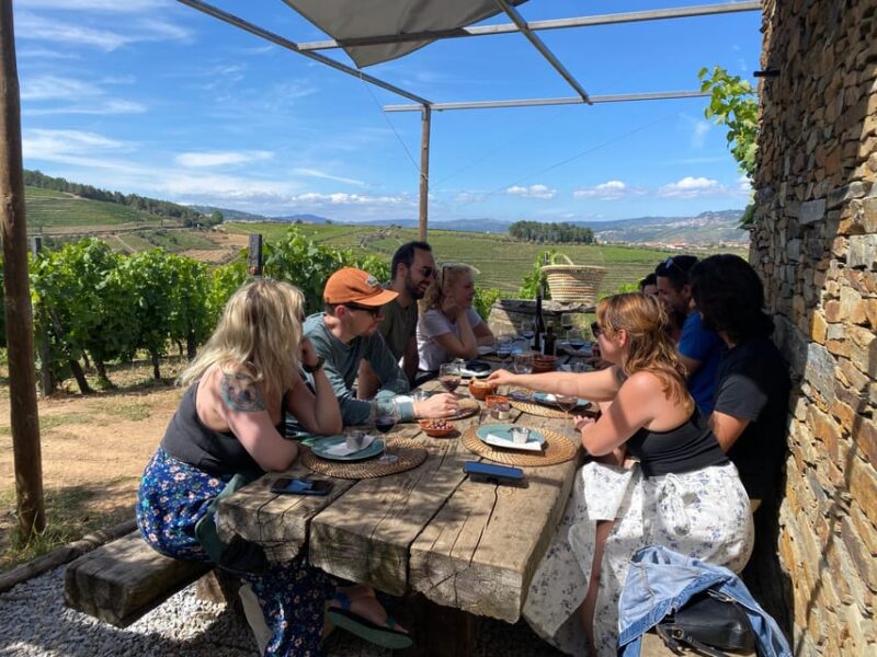 Douro Valley Wine Safari With Wine Tastings and Lunch - What to Bring and Expectations