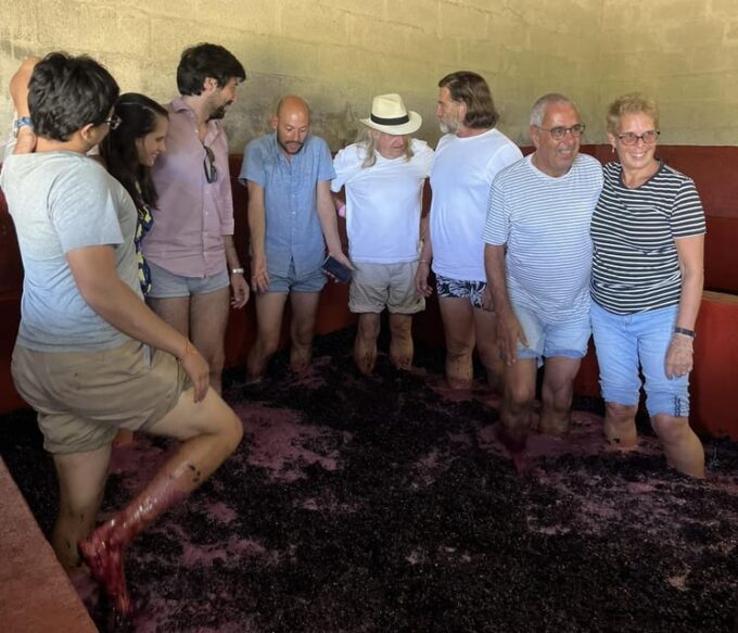 Douro Valley Wine Safari With Wine Tastings and Lunch - Pickup and Duration