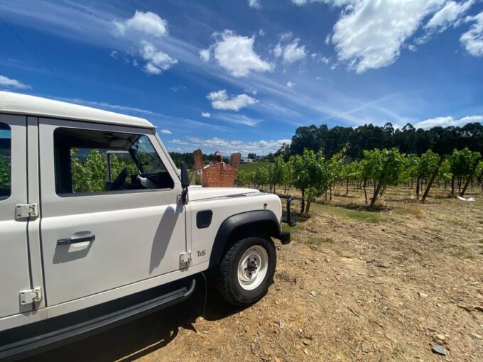 Douro Valley Wine Safari With Wine Tastings and Lunch - Winery Visits and Tastings