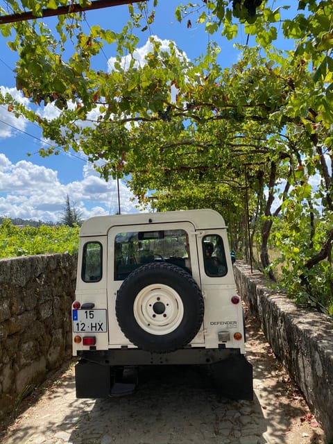 Douro Valley Wine Safari With Wine Tastings and Lunch - River Cruise and Return