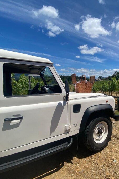 Douro Valley Wine Safari With Wine Tastings and Lunch - Frequently Asked Questions