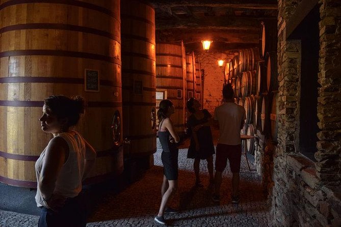 Douro Valley Wine Tour - Inclusions