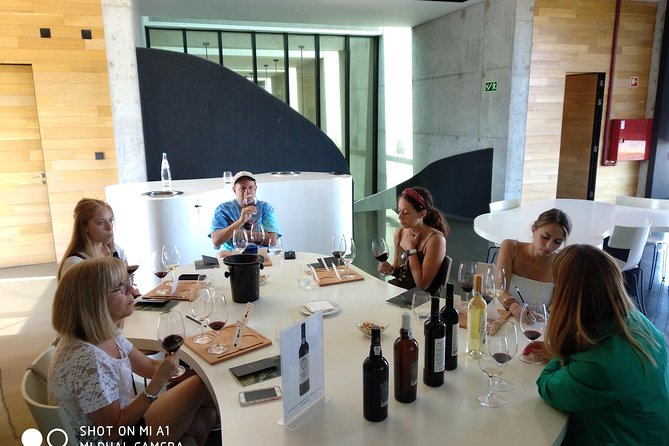 Douro Valley Wine Tour - Schedule