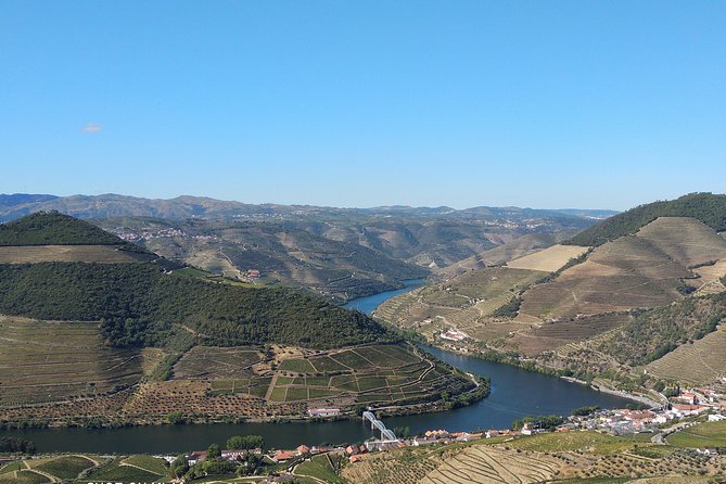 Douro Valley Wine Tour - Why Choose This Tour