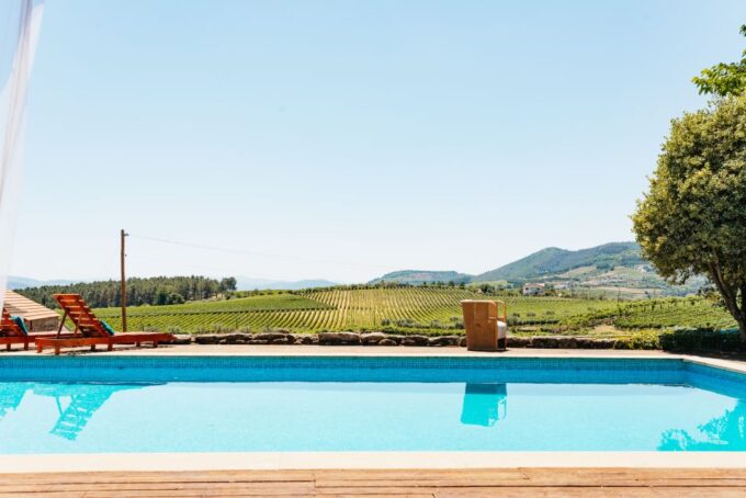 Douro Valley: Wine Tour With Lunch, Tastings & River Cruise - Douro River Cruise