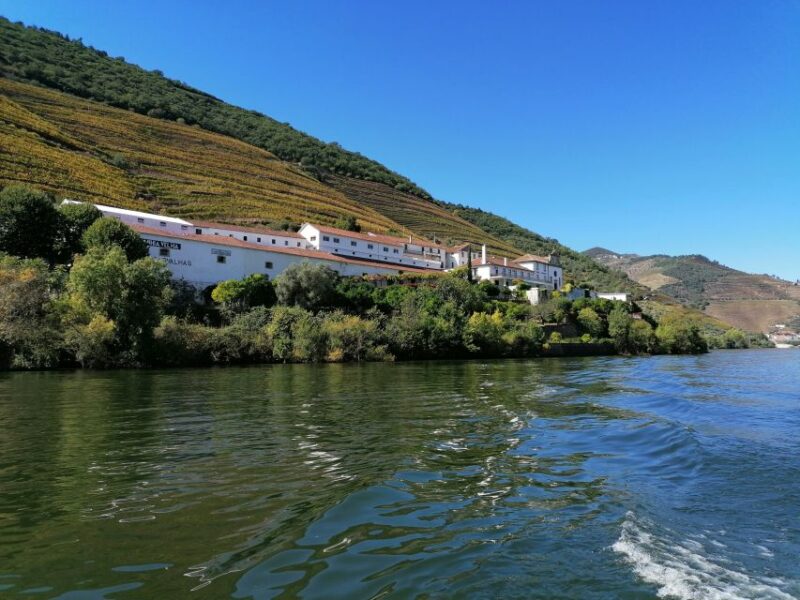 Douro Valley Winery Day Trip With River Cruise - Key Points