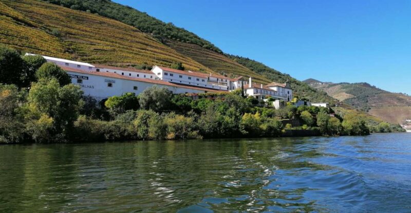 Douro Valley Winery Day Trip With River Cruise - Transportation and Pickup