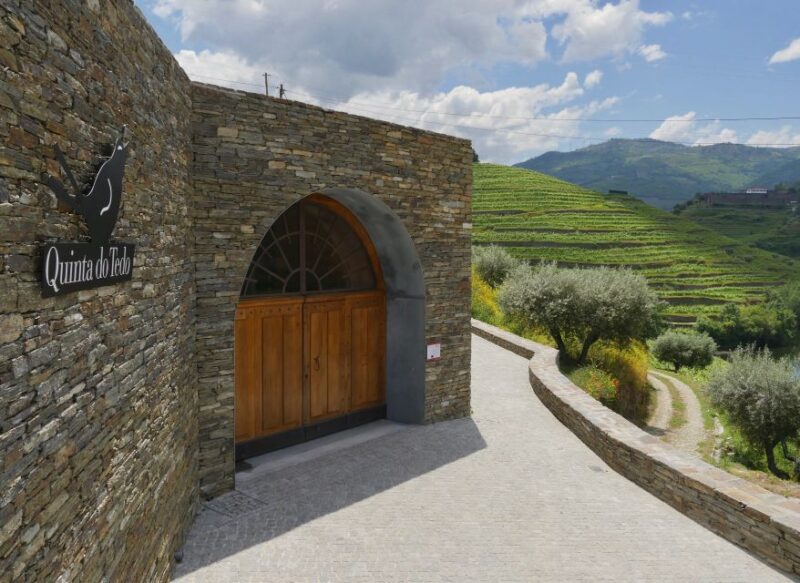 Douro Valley: Winery Tour at Quinta Do Tedo and Tastings - Key Points