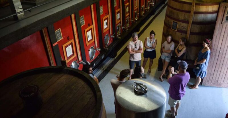 Douro Valley: Winery Tour at Quinta Do Tedo and Tastings - Experience Highlights