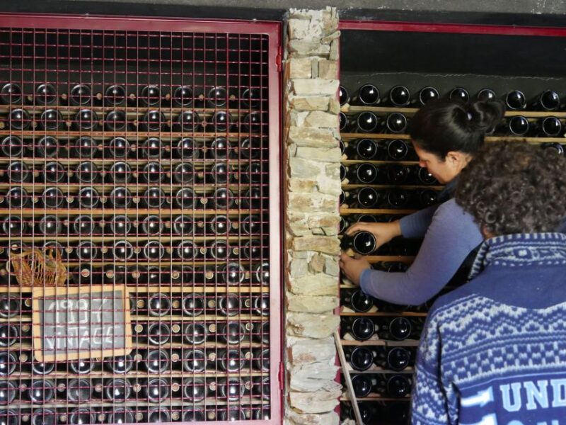 Douro Valley: Winery Tour at Quinta Do Tedo and Tastings - Booking and Meeting Details