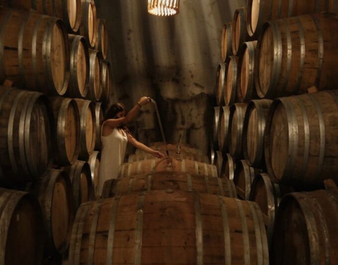 Douro Valley: Winery Tour at Quinta Do Tedo and Tastings - Sustainability and Organic Practices