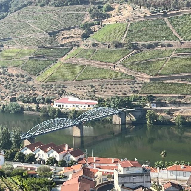 Douro Valley With a Local - Tasting Day, All Included - Itinerary Details