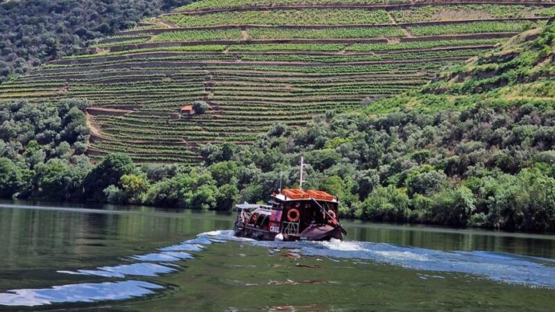 Douro Valley:Expert Wine Guide,Boat, Wine, Olive Oil & Lunch - Itinerary Highlights