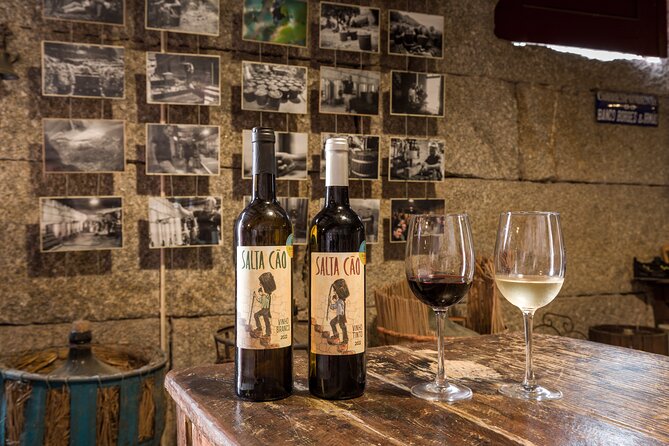 Douro & Vinho Verde: Family Wineries Private Tour in Portugal - Personalized Attention and Guidance