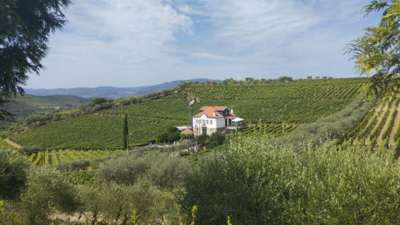 Douro & Vinho Verde Private Tour - Itinerary Highlights