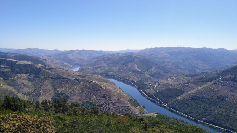 Douro & Vinho Verde Private Tour - Douro River Boat Cruise