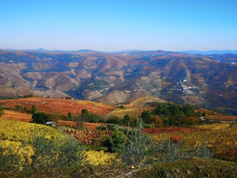 DouroValley Sunset,Live Show,Fine Chef Dining,Wine Tastings - Key Points