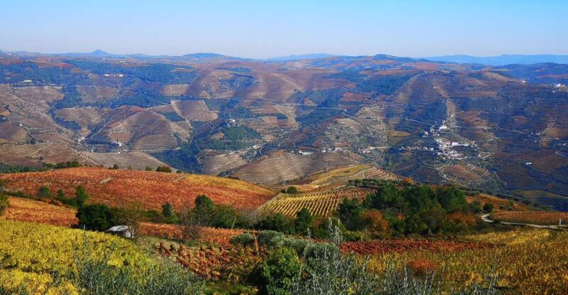 DouroValley Sunset,Live Show,Fine Chef Dining,Wine Tastings - Sommelier Presentation