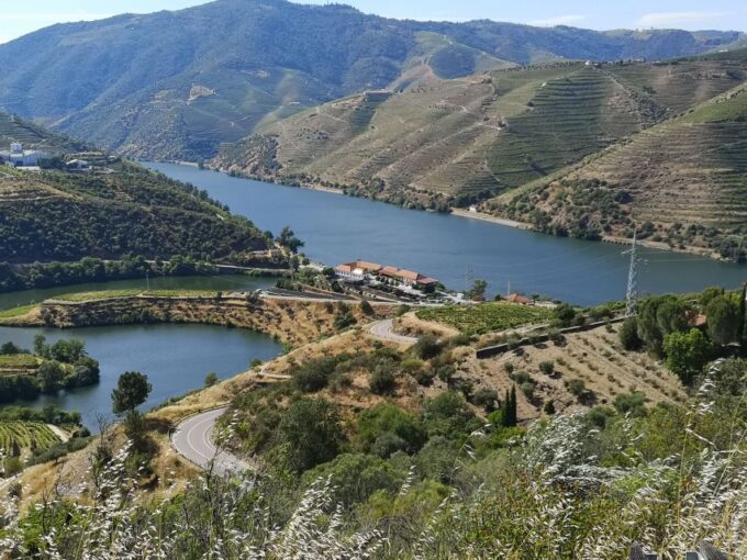 DouroValley Sunset,Live Show,Fine Chef Dining,Wine Tastings - Customer Feedback