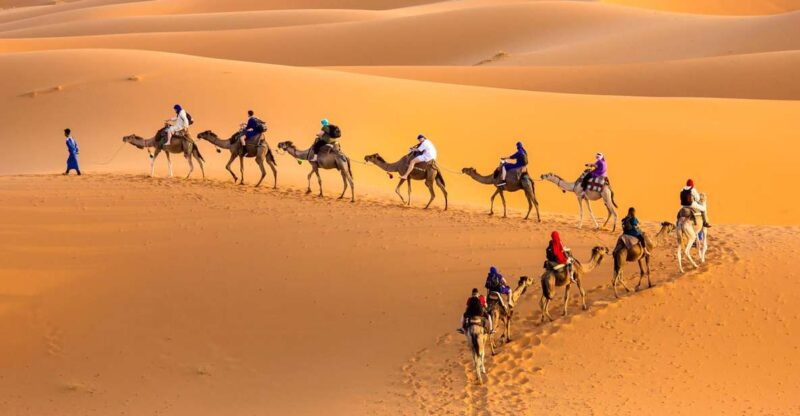 Douz 2-Day Sahara Desert Camel Trek - Activities During the Trek