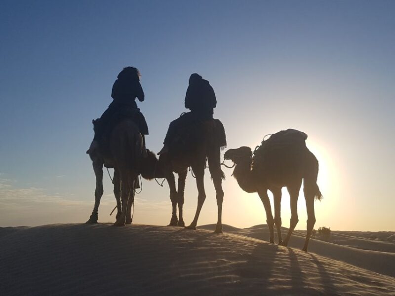 Douz 2-Day Sahara Desert Camel Trek - Pricing and Packages