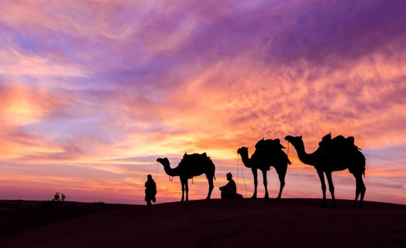 Douz: Camp Stay With Dinner, Sunset & Sunrise by Camel - Camel Riding Adventure