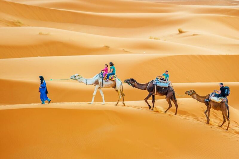Douz: Sahara Desert Camel Trek With Lunch - Itinerary for the Day