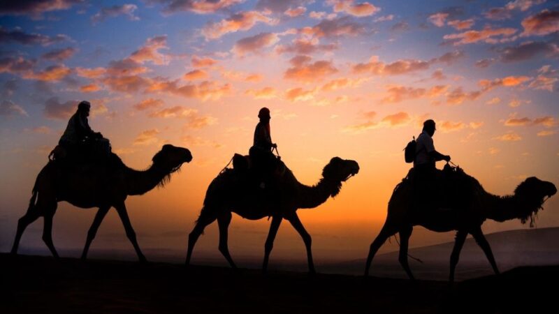 Douz: Sunset or Sunrise Sahara Desert Camel Ride - Overview of Douz Camel Ride