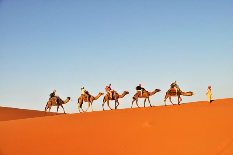Douz: Sunset or Sunrise Sahara Desert Camel Ride - What to Expect During the Ride