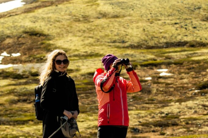 Dovrefjell National Park: Hiking Tour and Musk Ox Safari - Preparation Guidelines