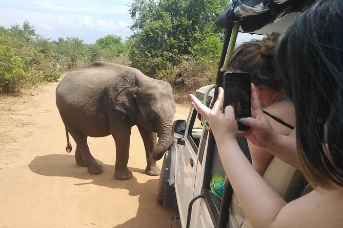 Down South Galle Tour Review - Accommodation and Meals