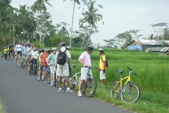Downhill Bali Countryside Cycling Tour - With Halo Bike Tour - Transportation and Pickup Details