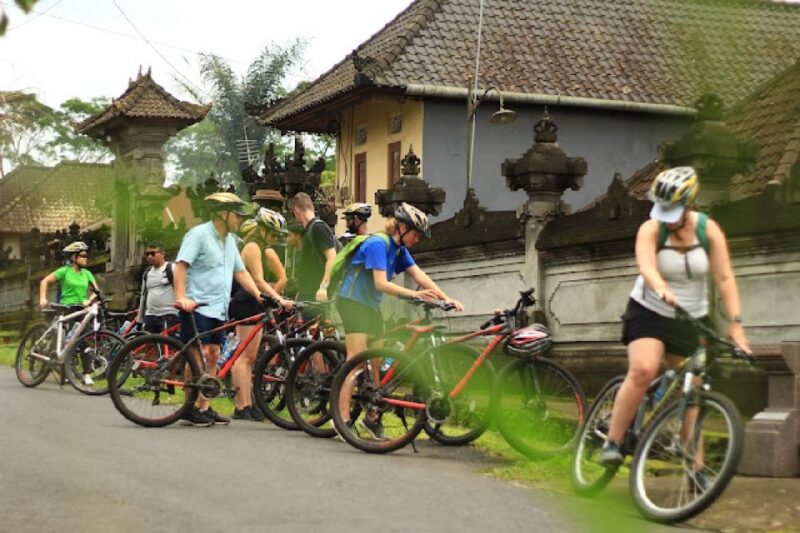 Downhill Bike Tours Through Rice Terrace Jungle With Meal - Preparation and Restrictions
