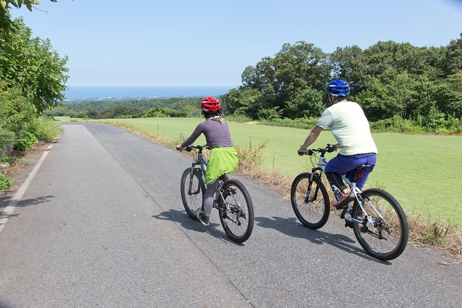 Downhill Biking - Navigating the Downhill Route