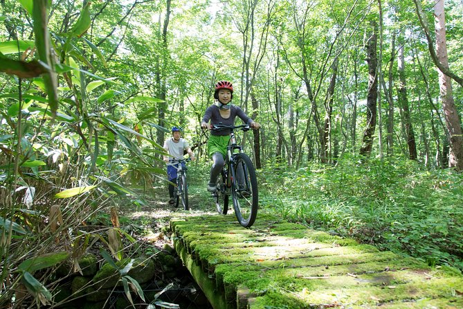 Downhill Biking - Scenic Overlooks