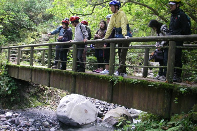 Downhill Biking - Terrain and Trail Conditions