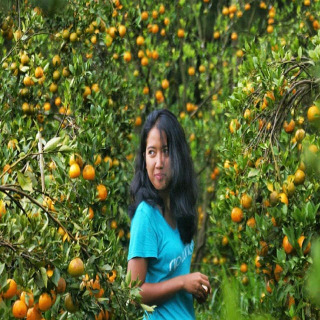 Downhill Cycling Tour Through Rice Terraces Jungle and Meal - Itinerary and Experience