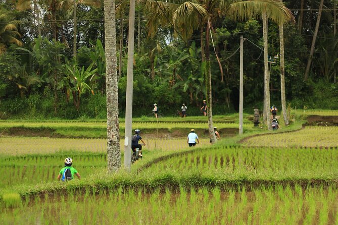 Downhill Cycling Tour Ubud Through Jungle and Rice Terrace - Participant Requirements