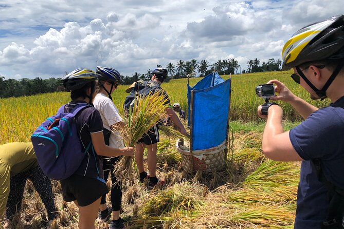 Downhill Cycling Tour Ubud Through Jungle and Rice Terrace - Customer Feedback
