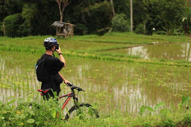 Downhill Cycling Tour Ubud Through Jungle and Rice Terrace - Tour Booking Information